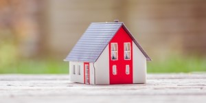 Информация из РИП Информация из РИП