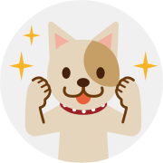 Cat Javelin Credit score